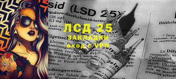 индика Арсеньев